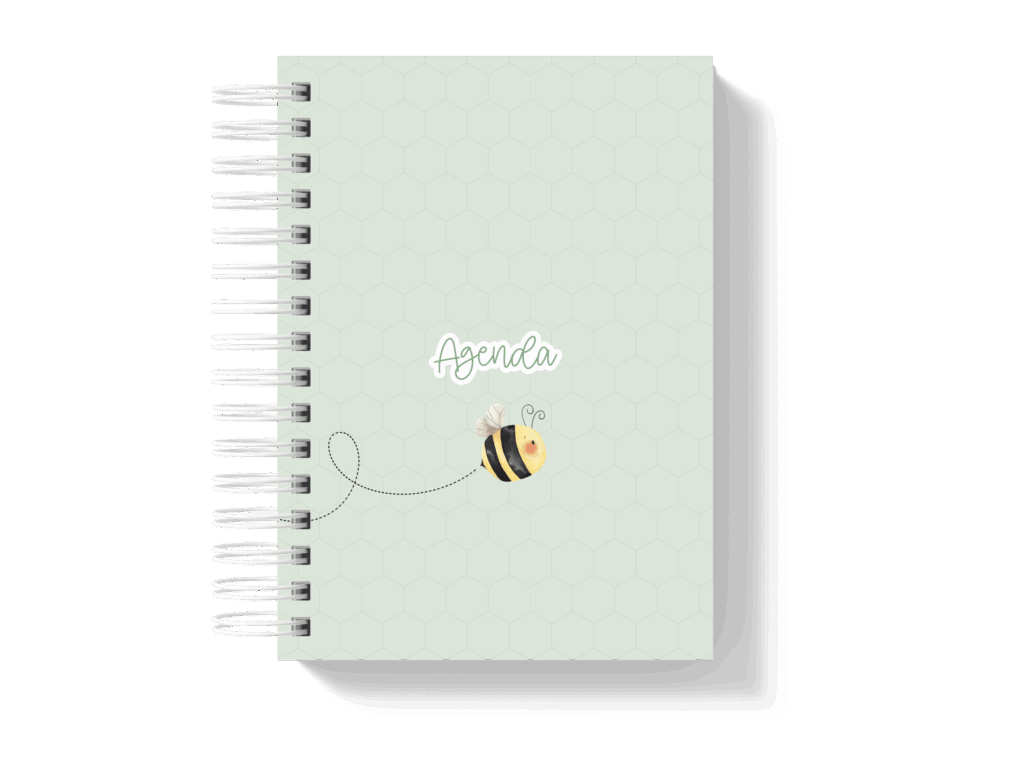 Capa_1