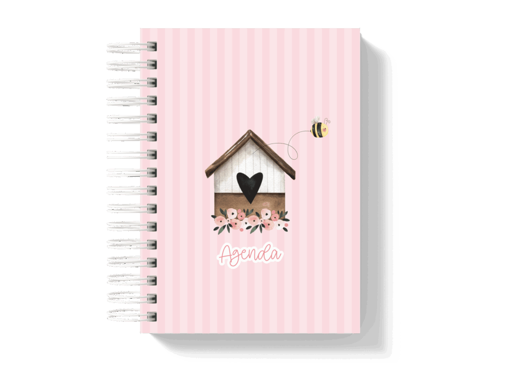 Capa_11