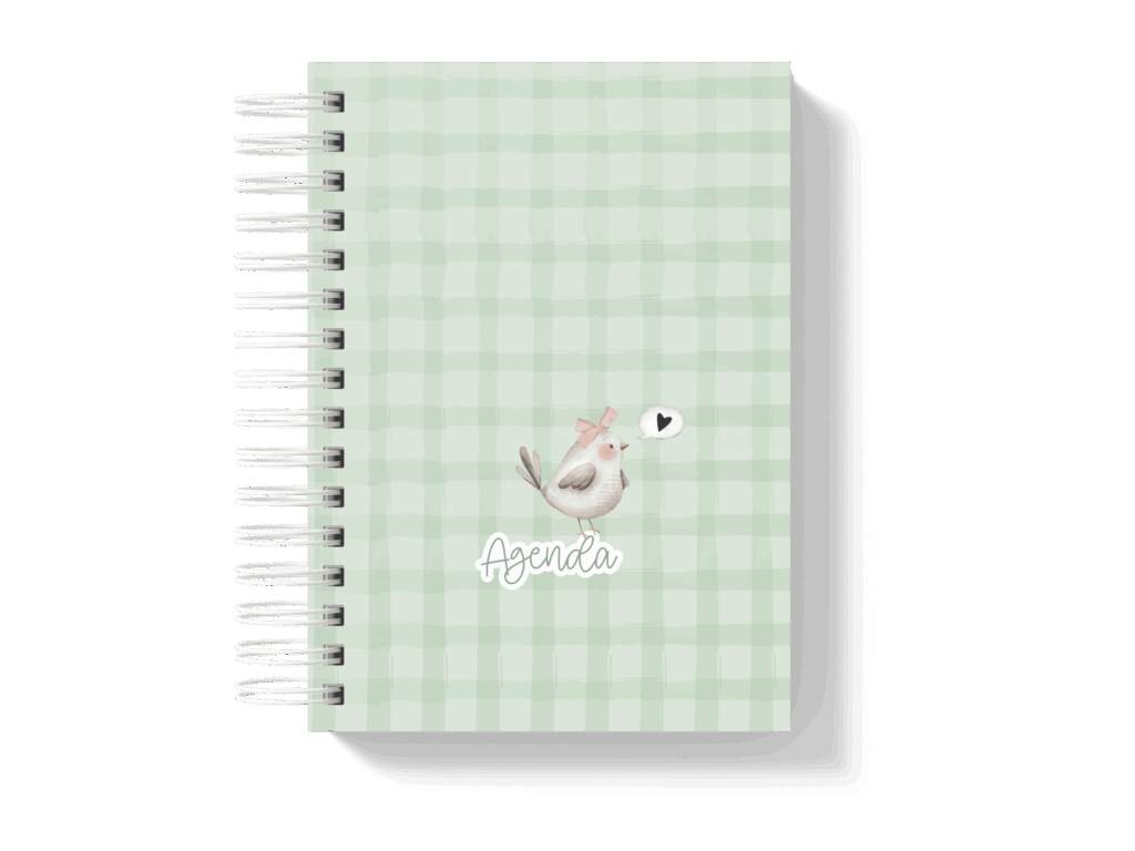 Capa_12