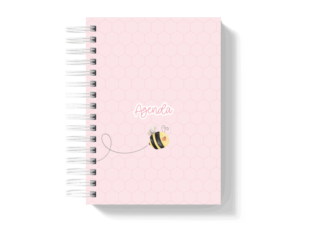 Capa_2