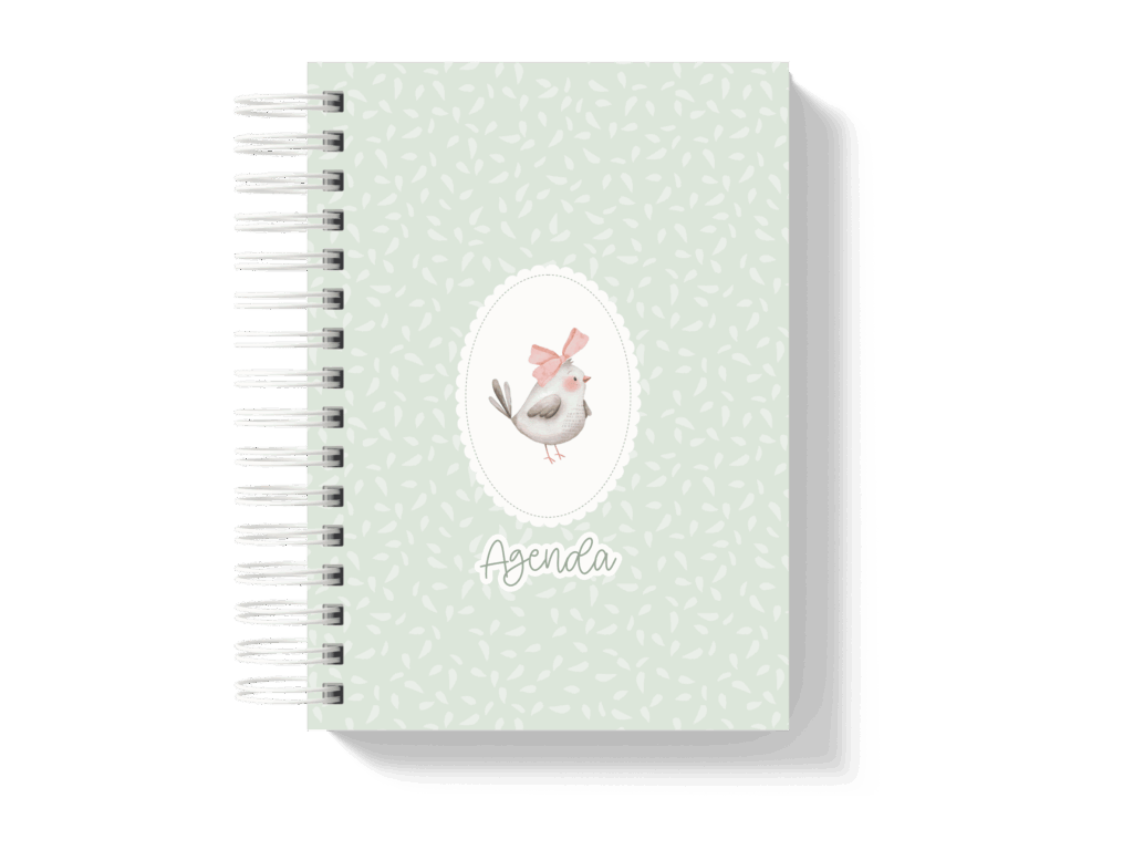 Capa_3