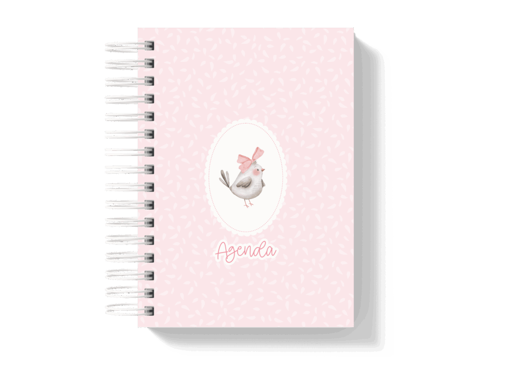 Capa_4