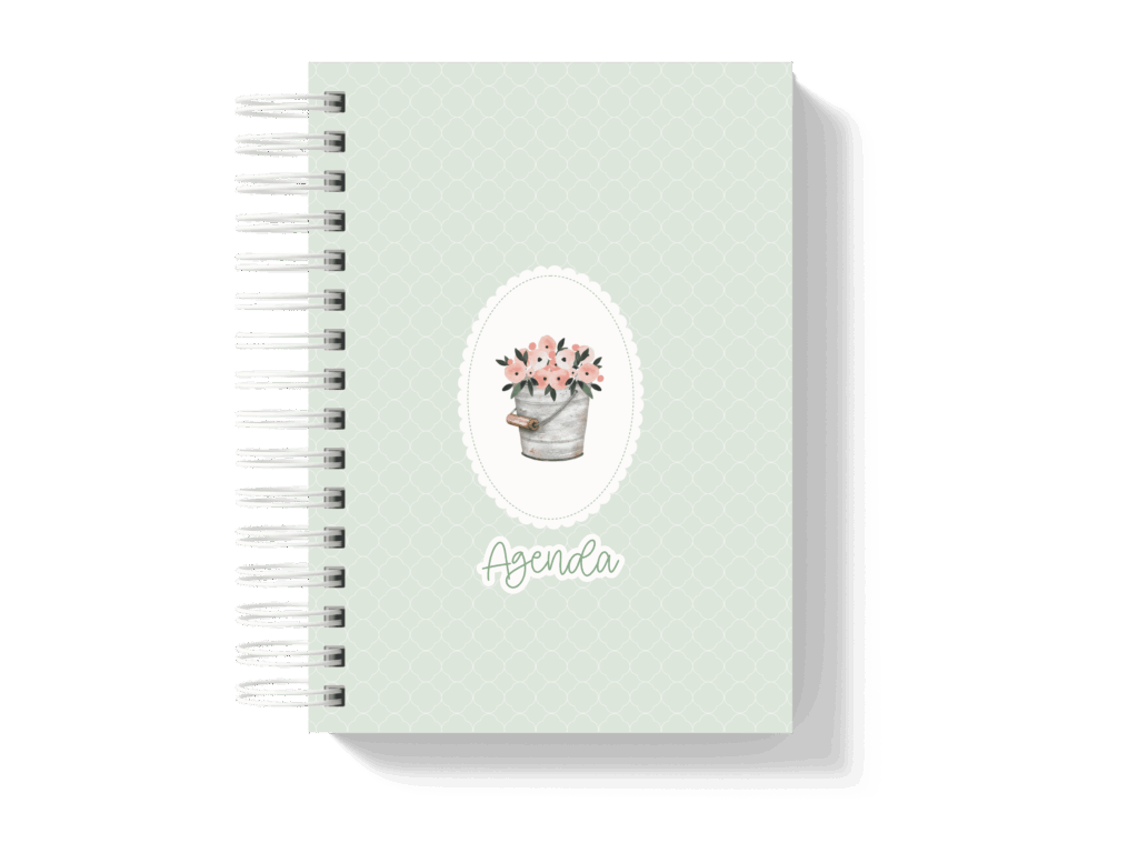 Capa_5