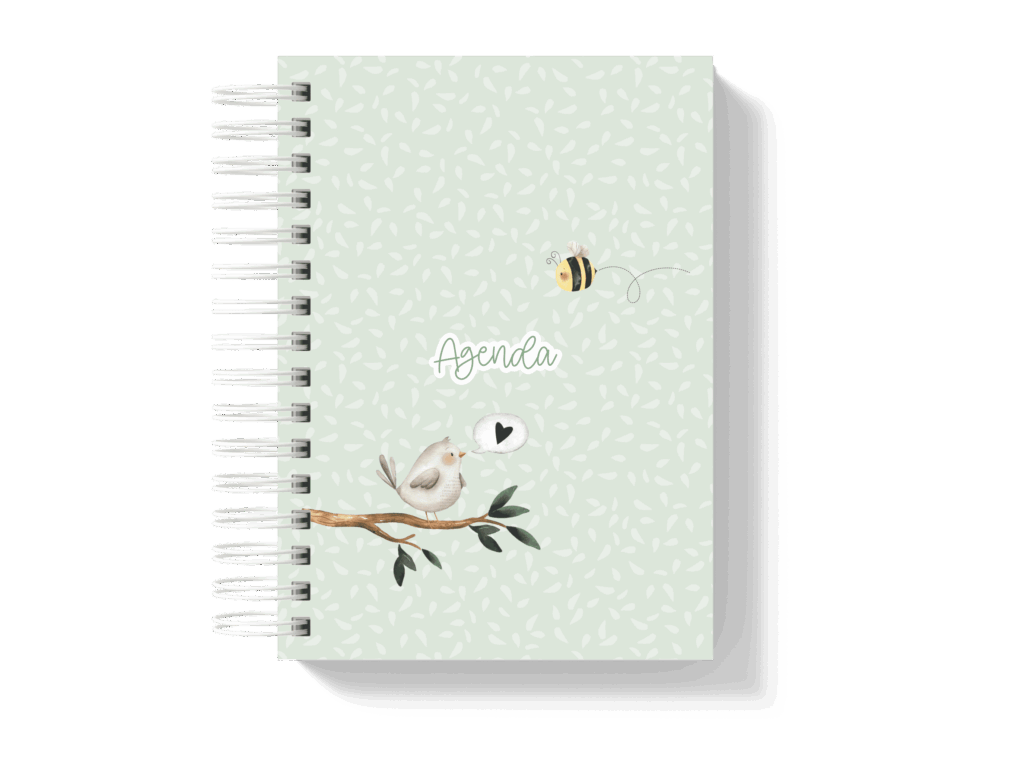 Capa_8